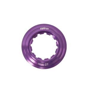 Cybrei Disc Rotor Lockring Kit - Image 6